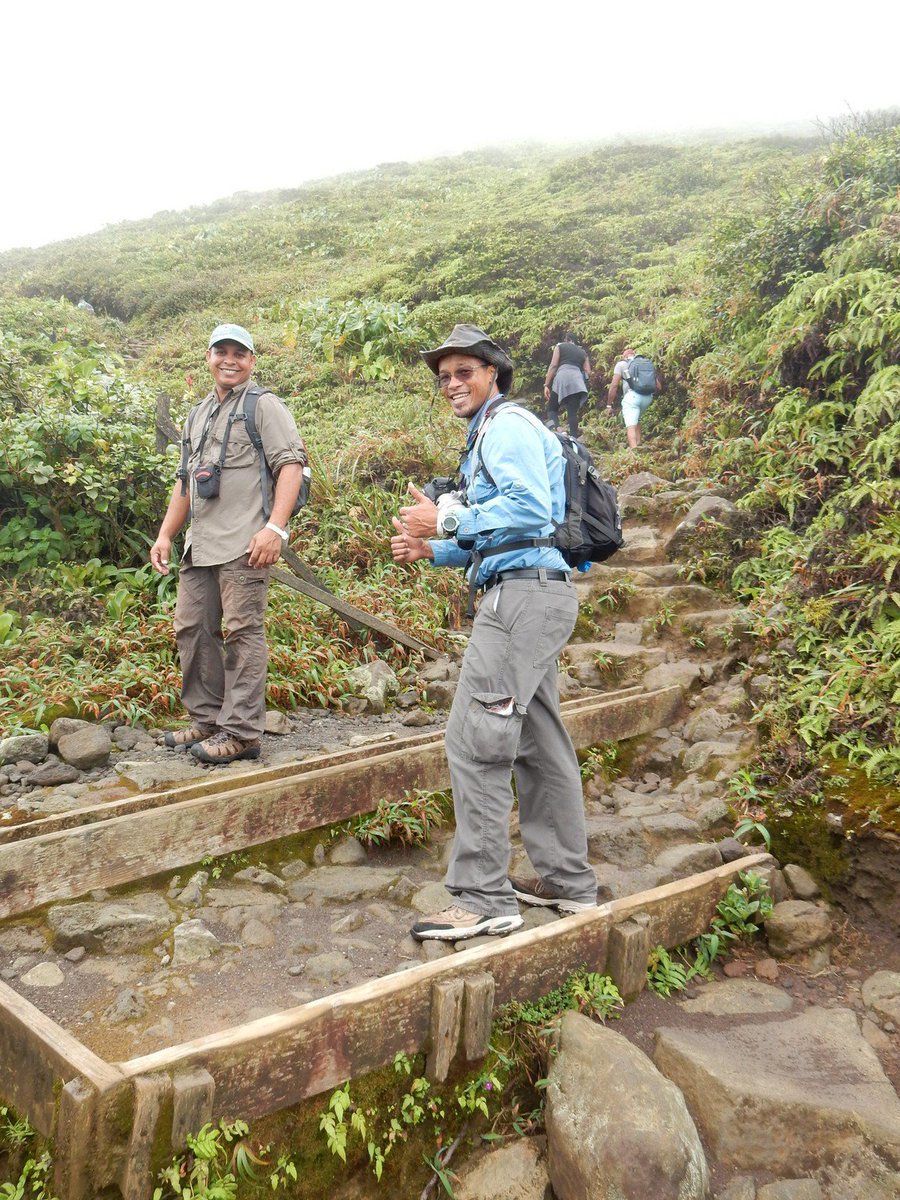 grupojaragua's tweet photo. Moist, high mountains of the Caribbean is where we work. Part of the internacional #BlackCappedPetrel conservation group in #LaSoufrière #Guadeloupe @BirdsCaribbean @BirdsCarib2019 #Black-cappedPetrel @ABCbirds @BirdLifeAmerica @SCCoopUnit @YvanSatge https://t.co/xz0HF5UUH3