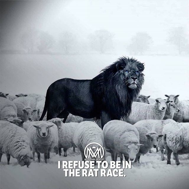 NrichSystems's tweet photo. Media Source: https://t.co/SXOB82v44S
👌 #notforme
#ratrace #doublemucker #run #ocr #bitcoin #running #aviation #ratracedirtyweekend #money #ratsofinstagram #rrdw #rats #ratlife #ratlove #ratsofig #usa #sidehustle #fitness #music #buildyourempire … https://t.co/e7eYBbTW7M https://t.co/WrNx01syN1