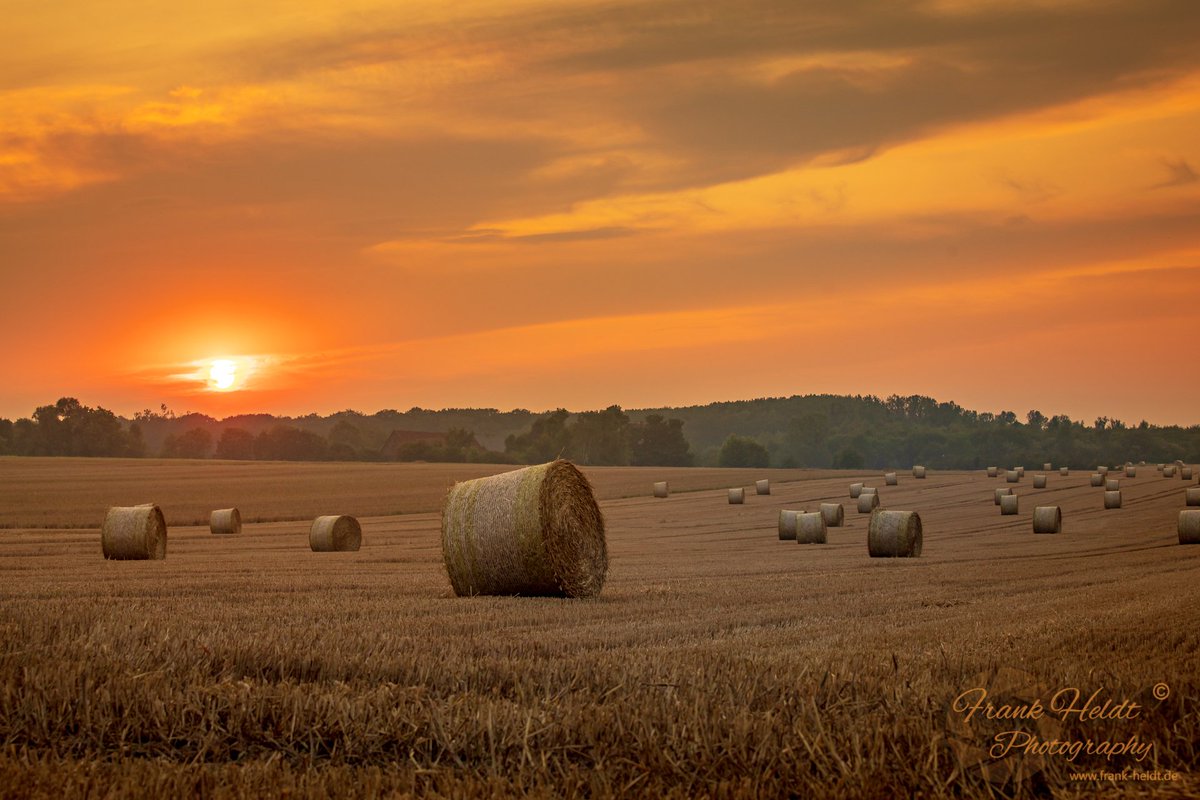 #Sommer #Sonne #Sonnenuntergang
auf den #Feldern sind die #Bauern fleißig...
#Ferien #Stroh #Getreide #Rundbsllen #Stroh #Love #Romantik
© Frank Heldt