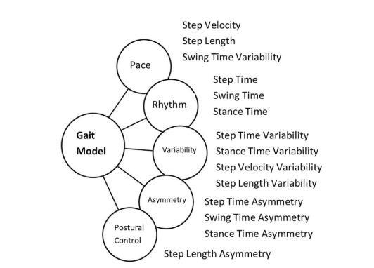 MichaelCattNCL's tweet photo. Gait analysis with wearables predicts conversion to parkinson disease. https://t.co/KvfxQFsirW https://t.co/EwvMIKZSHa