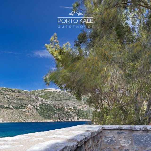 PortoKaleHotel's tweet photo. Can you hear the silence - cicadas aside? 
#PortoKale, your perfectly peaceful retreat at the Mani Peninsula, Greece | Bookings at https://t.co/eqht44u4OT (link in bio)

peloponnese #grecia #manitraveler #smallluxuryhotels #holidayvilla #discovergreece #greecestagram

peloponne… https://t.co/PDwoiSyoys