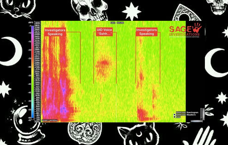 thehauntedpress's tweet photo. “How do you explain that?” - The Three Military Veterans With a Very Different Mission #paranormal #paranormalinvestigation #ghosthunting #spirits #ghosts #haunted #hauntedpress #investigation #ghostnews #paranormalnews #horrornews… https://t.co/7U8wwmwWj8 https://t.co/kq0IhPul2s