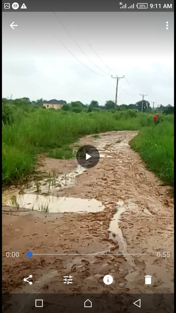 Edo In Action tweet media