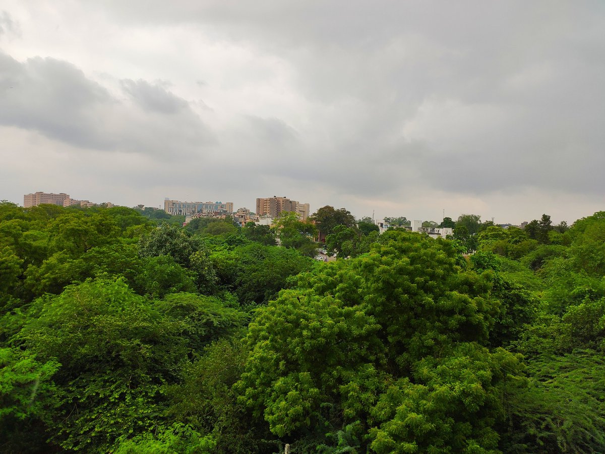 Gautam_Thapar's tweet photo. Normal 12MP shot along with cropped photo. ๐
Shot on #RedmiK20Pro
@XiaomiIndia
@RedmiIndia
@manukumarjain
@cmanmohan
#RedmiK20 #BelieveTheHype #Xiaomi #FlagshipKiller #AlphaSale #SundayMorning #SundayThoughts #sundayvibes #landscape #landscapephotography https://t.co/6JuYuJFyKj