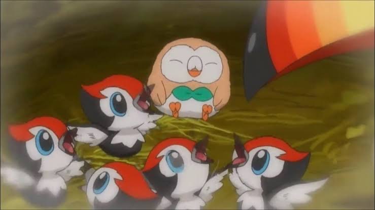 アルコバレーノ Twitter Da Anipoke Pokemon 最初はなんらかの理由で違う巣で産まれたモクロー それからサトシと出会うまで優しく厳しく育ててくれたお父さんのような存在のドデカバシ 今もモクローを応援してくるって事が本当に愛があって良いと思う