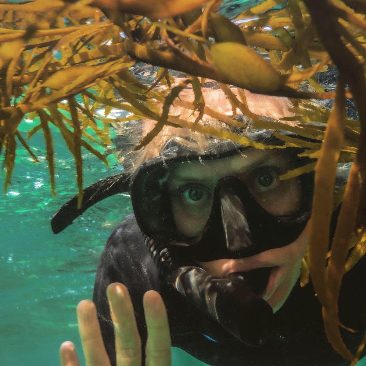 Are you a MANLY local?! If so, please consider voting for our *FESTIVAL OF SEAWEED* #MyCommunity project!Our proposal blends ART, FOOD and SCIENCE to celebrate Sydney's underwater forests and our marine environment engonet-sims.azurewebsites.net/news/77/my-com…