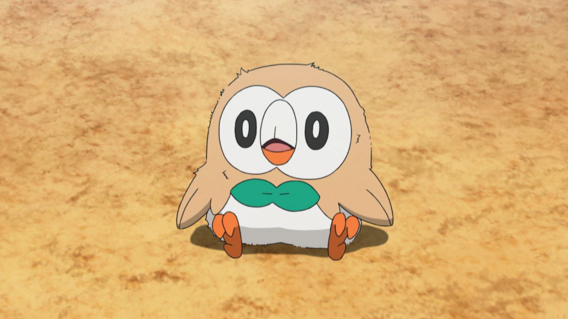 鷹マル このモクローかわいい Anipoke T Co Nm0gyso9gv Twitter