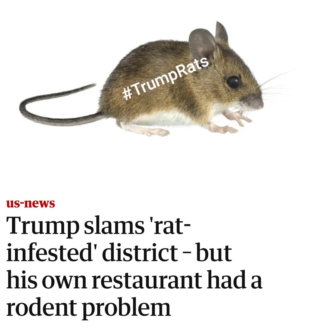 MichaelvanMind's tweet image. Why don't you focus on your restaurants?!

#Trump #TrumpRats are breeding well....