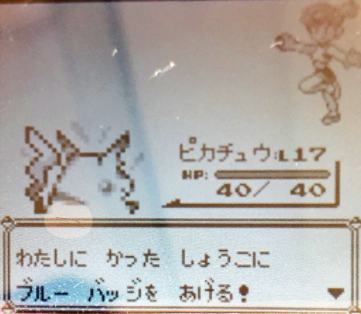 スラヨシ アンテ ポケダン空ネタバレしないでね うおおおおおおついにヒトカゲとポッポがレベル16と18で進化 キャンセルしたあああああ 可愛くなくなるからキャンセルしたらしいけどこのあと大丈夫か スラヨシ アンテ ポケダン空ネタバレしないでね うおおおおおおついにヒトカゲとポッポがレベル16と18で進化 キャンセルしたあああああ 可愛くなくなるからキャンセルしたらしいけどこのあと大丈夫か