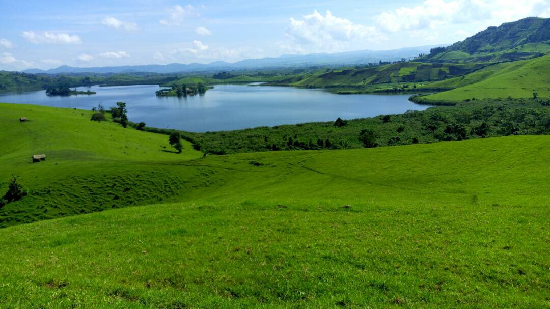 Dario Merlo Kasuku tweet media