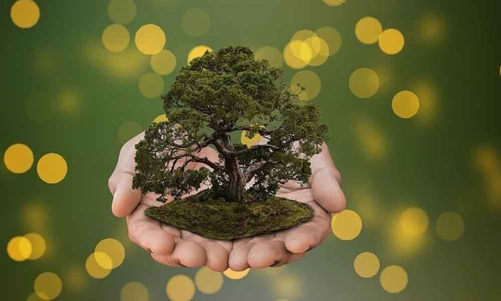 Natural day. Natural day. Забота об окружающей среде. Экология картинки. Солнечный пейзаж.