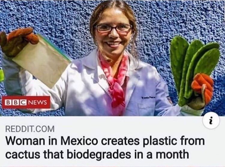 /Mujer en Mexico crea plásticos de cactus que son biodegradables en un mes.🌵

#saveourplanet #mexico #cactus #biodegradable #goodiea