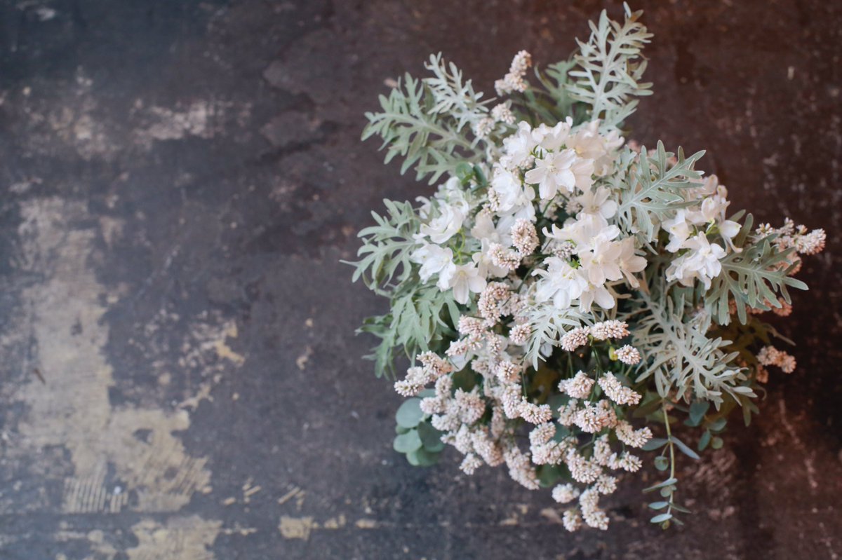 Tocolier トコリエ 7月の花紹介 デルフィニウム スーパーシルキーホワイト デルフィニウム は透き通るような薄い花びらがとても魅力的ですが スーパーシルキーホワイトはまさに 純白 というような混じりけのない白が美しい花でした T Co