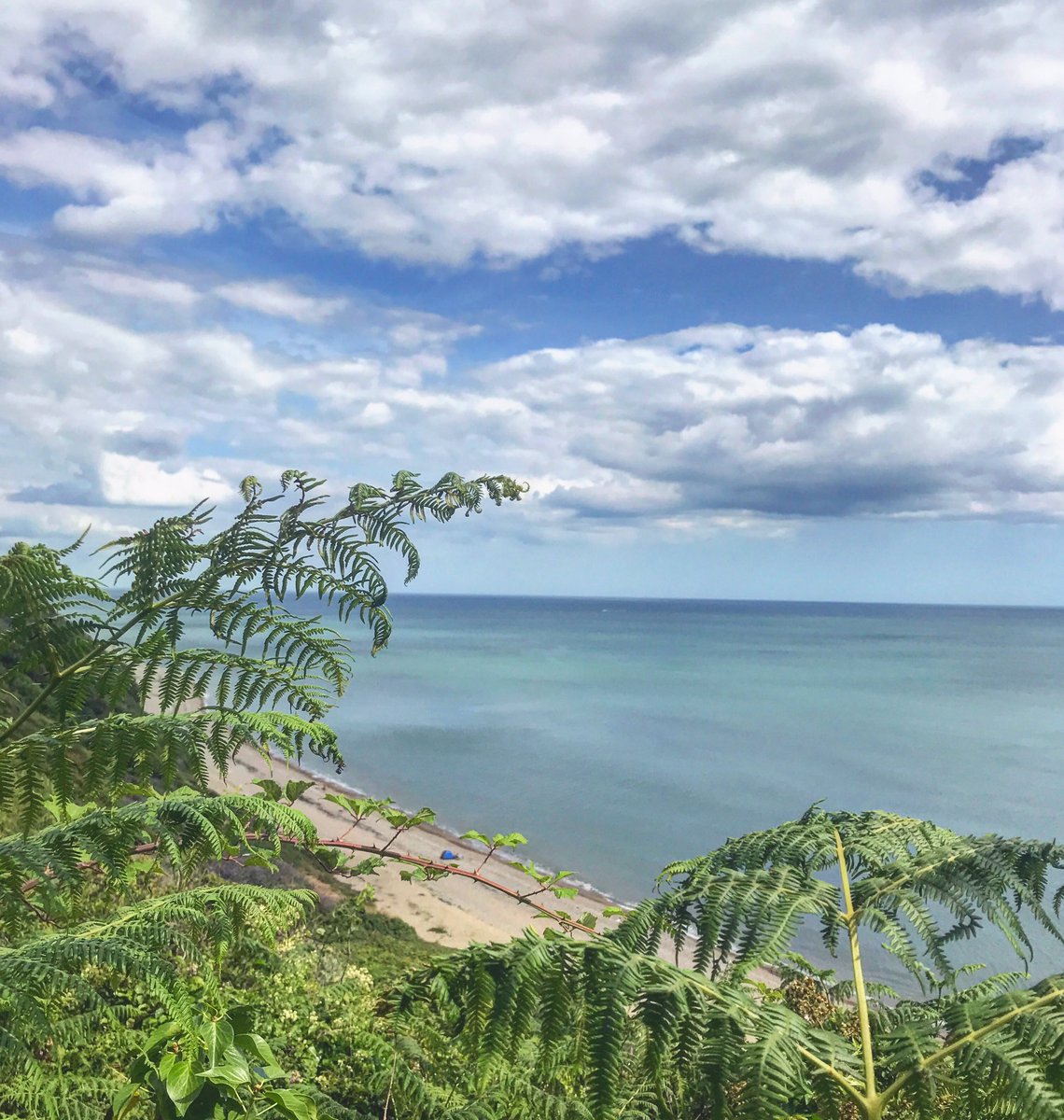 Hakuna Matata!
and if your #weekend doesn’t look like this get to a #Devon beach and blow all your worries away