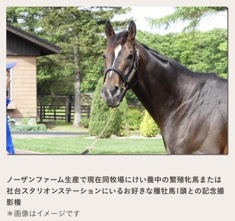 牝馬 繁殖 へっぽこ軍団