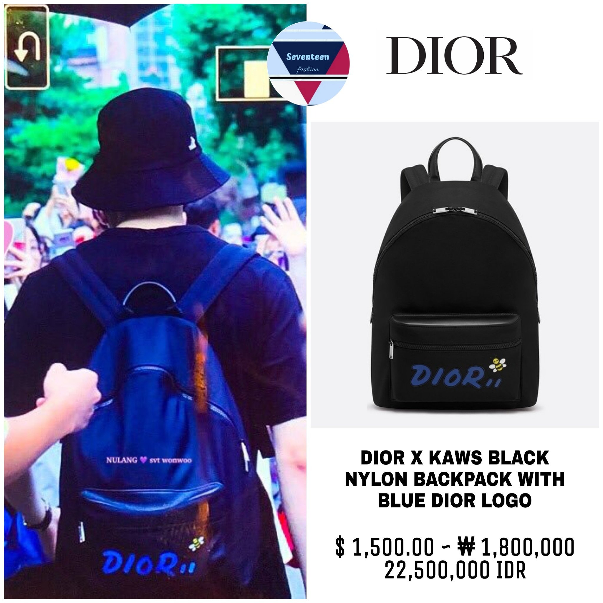 Dior kaws backpack discount