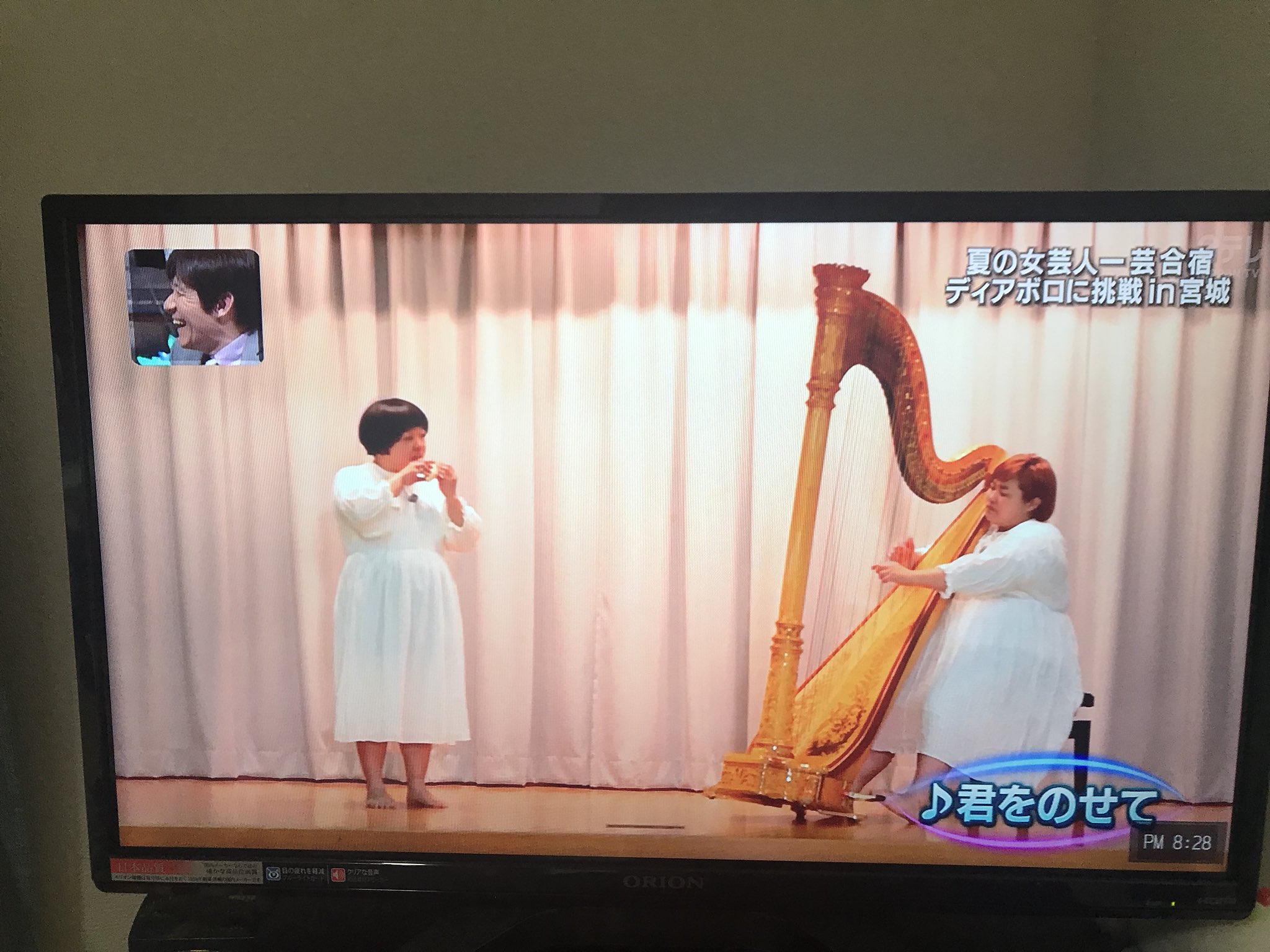 沃野のいぬ イッテqでゆいpがハープ