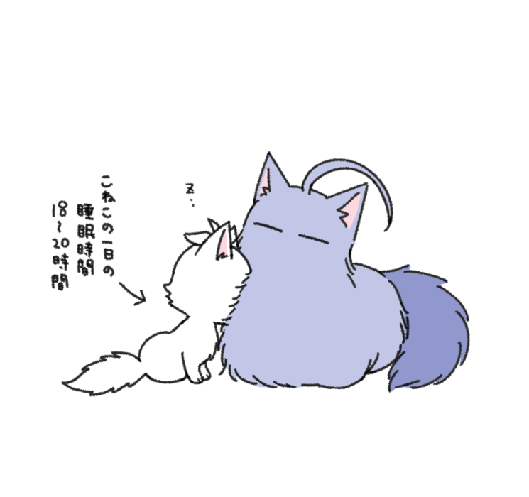 寂左ねこ(告白失敗) 