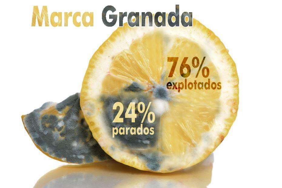PCPAGRANADA's tweet photo. 📣Exprimid@s como limones. Los capitalistas beben zumo de obrero. Y los restos a la basura. 

⚠️En Granada un 24%  de paro y en Andalucia una temporalidad del 35, 83%. 

🧐Más info en: (https://t.co/DASLGVOxUk) https://t.co/QeerKuxEDP