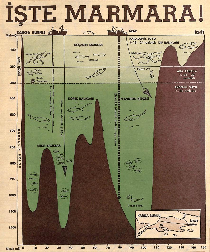 Marmara Denizi'nin içinin haritası. İçini merak edenlere gelsin. 1950'lerin ortalarından sonralarına doğru hazırlanmış.