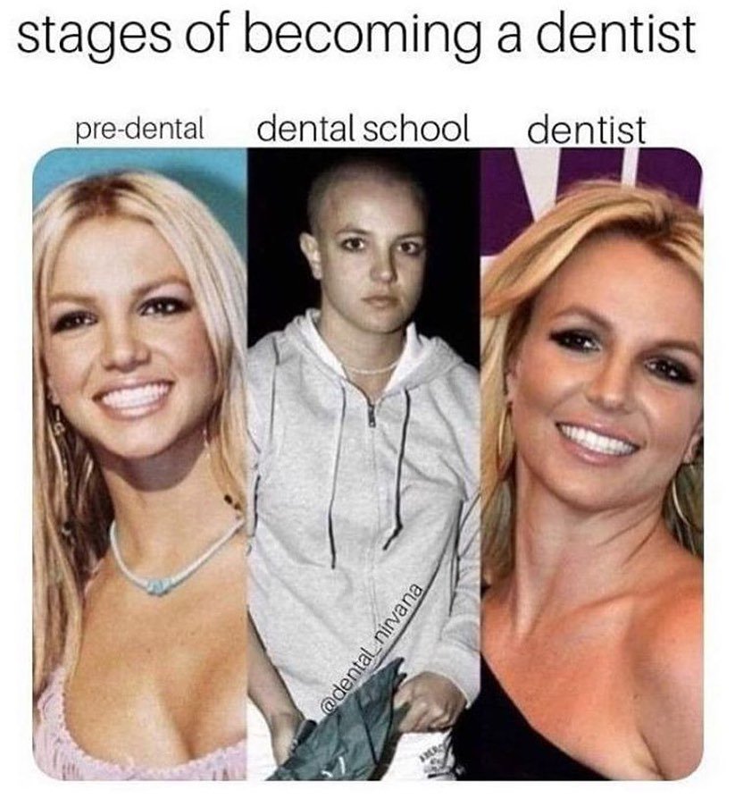 Dentist Bunny (@dentistbunny) on Twitter photo 