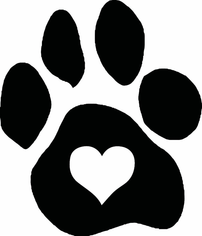 CHQCountyHumane's tweet image. Cat lovers will want to read this newsletter! conta.cc/2SLVia7