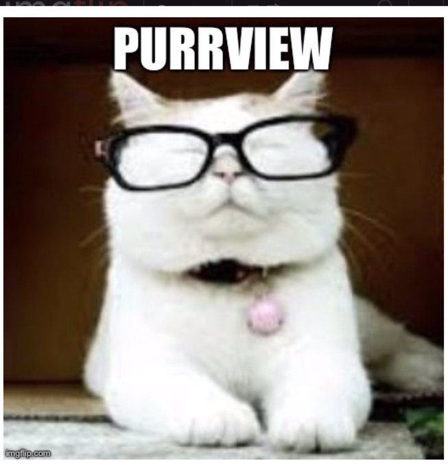 aFanFromKY's tweet photo. @TheAnaBraga one thing I know for sure, they're all outside of Mueller's #purrview https://t.co/6gjj5p5n6f