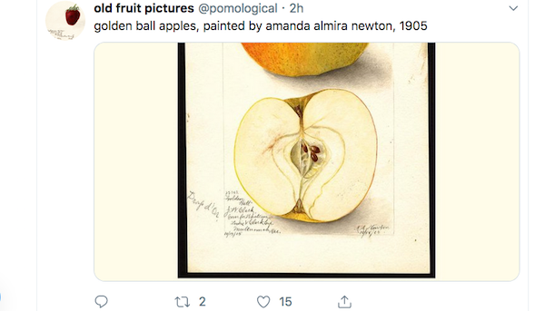 adapples's tweet image. The #newtwitterdesign has ruined this series from @pomological.  #newtwitter #newtwitterlayout
