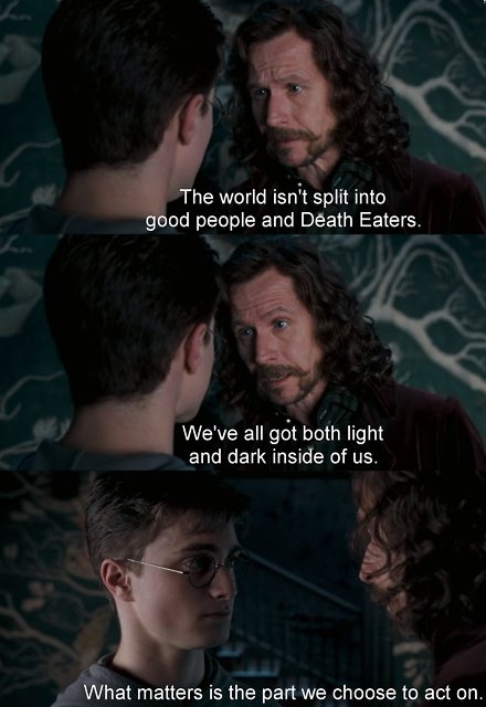 “We’ve all got both light and dark inside of us.” – Sirius Black