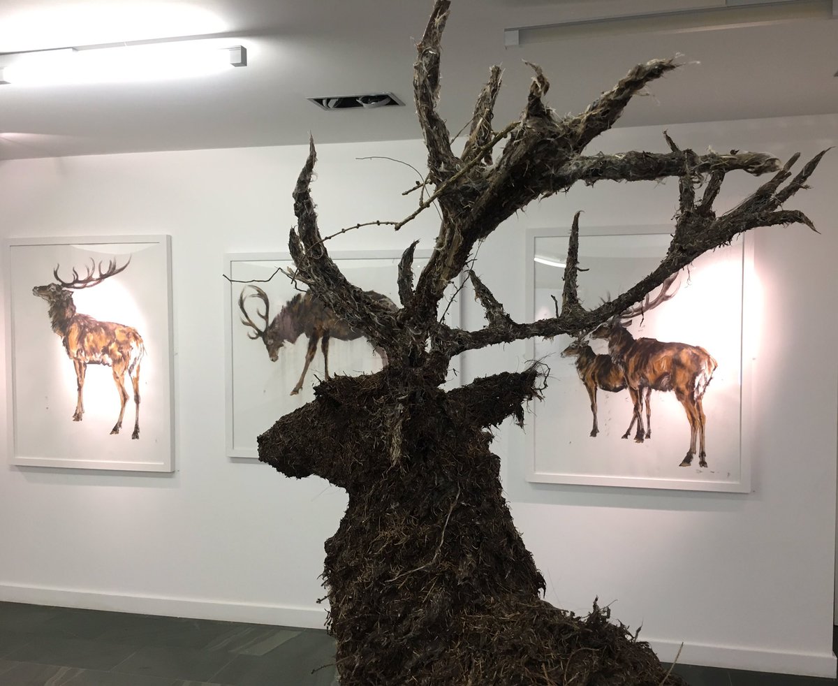 So pleased to have spent time with these phenomenal beasts made by Sally Matthews - on show now @GrizedaleSculpt @VisitGrizedale .
#wolves
#forestart
@ForestArtWorks 
@hastone47 
@LakesCulture 
@lakedistrictnpa @GP_LakesDales @TrailpikeRake @UtopiaUnexpect  @KerryDarbishire