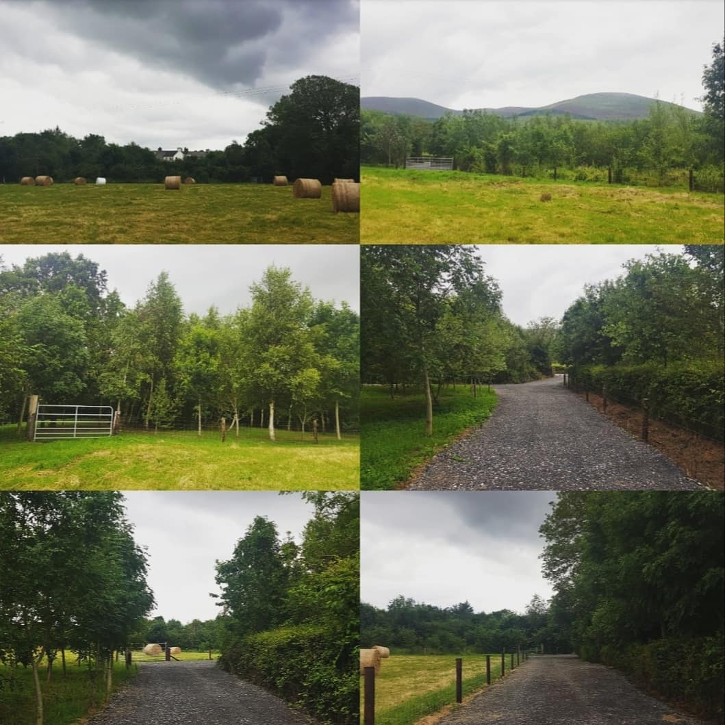 We had a lovely stroll along the adjoining walkways at #TheSallows this morning. The Knockmealdowns make for a great backdrop 💚 #TipperaryTourism #MunsterVales #IrelandsAncientEast