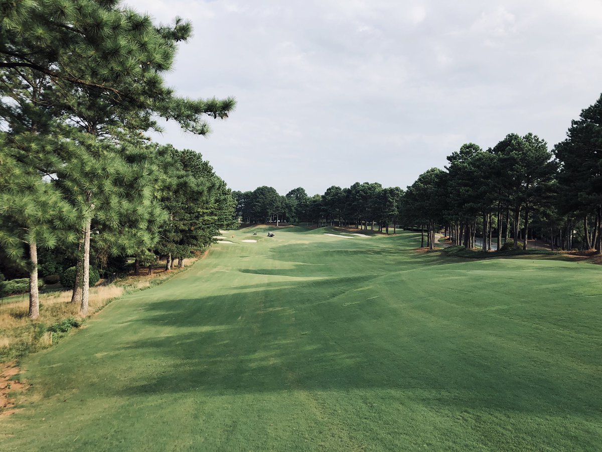 Course is firming up and the holes 🕳 are filling in from the punch 🥊. Greens are 10.6 on the stimp today. #dogdaysofsummer