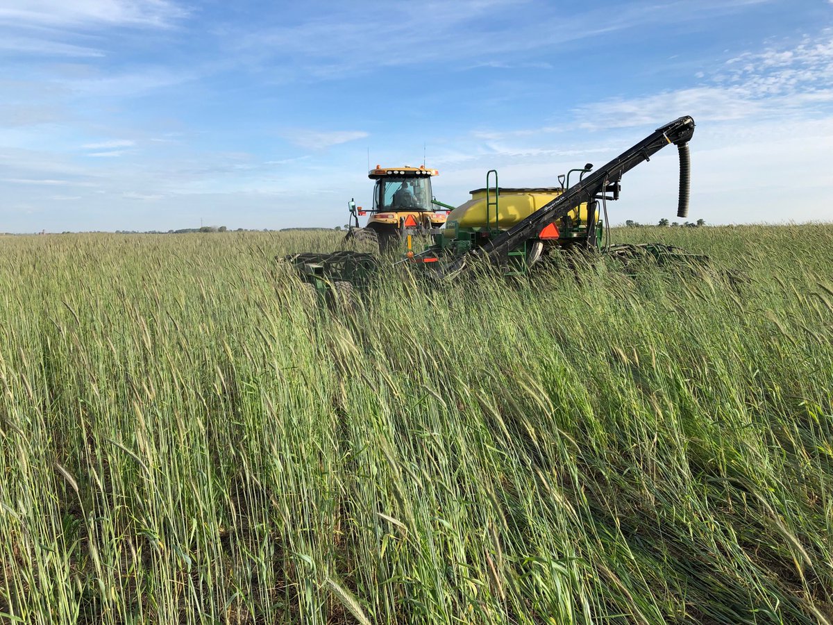 Blake Vince tweet media