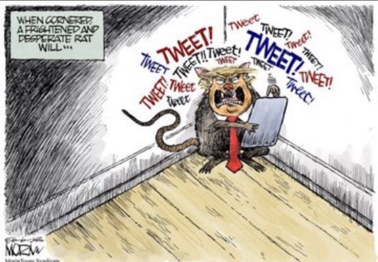 saywhatnowyall's tweet photo. Who is gonna take this vermin down in 2020? #resistogether #BaltimoreStrong #TrumpIsARat #TrumpIsARacist https://t.co/jfMmLbns7y