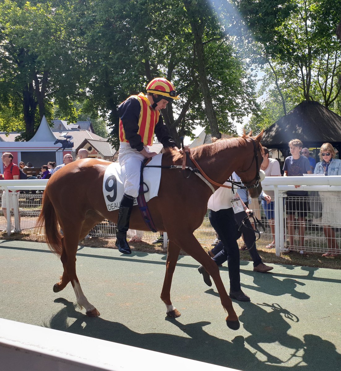 seenthestars's tweet photo. @RacingPost Prix Rothschild @fgdeauville #East @Qabala #MoveSwiftly #Beshaayir https://t.co/if3gy3Z5Pc