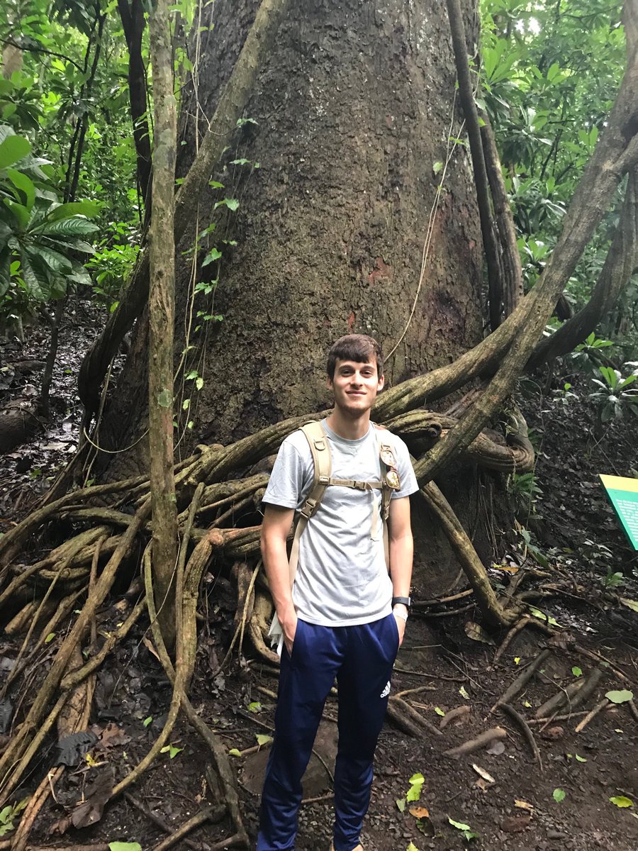 susanpagekeeley's tweet photo. Interesting seasonality question for students: Why can’t researchers  use tree rings to age these giant trees in the tropical rainforest? #NSTA #NSTA18 #NGSS #phenomenon https://t.co/V4ev9SDHce