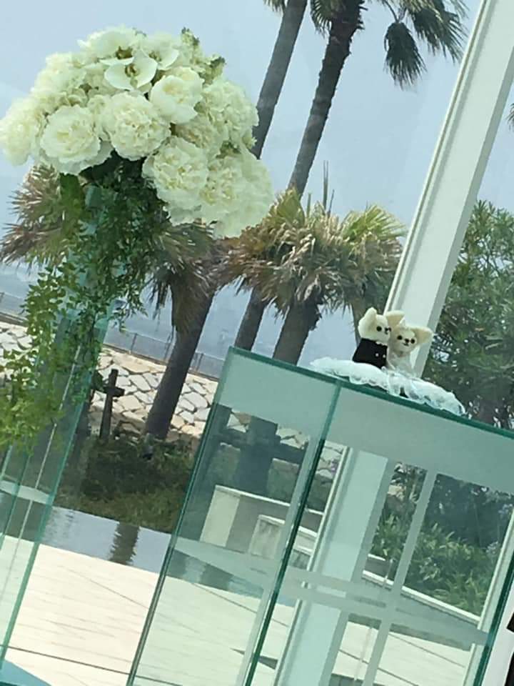 焼き鳥屋のおかみさん Yukostarling Twitter