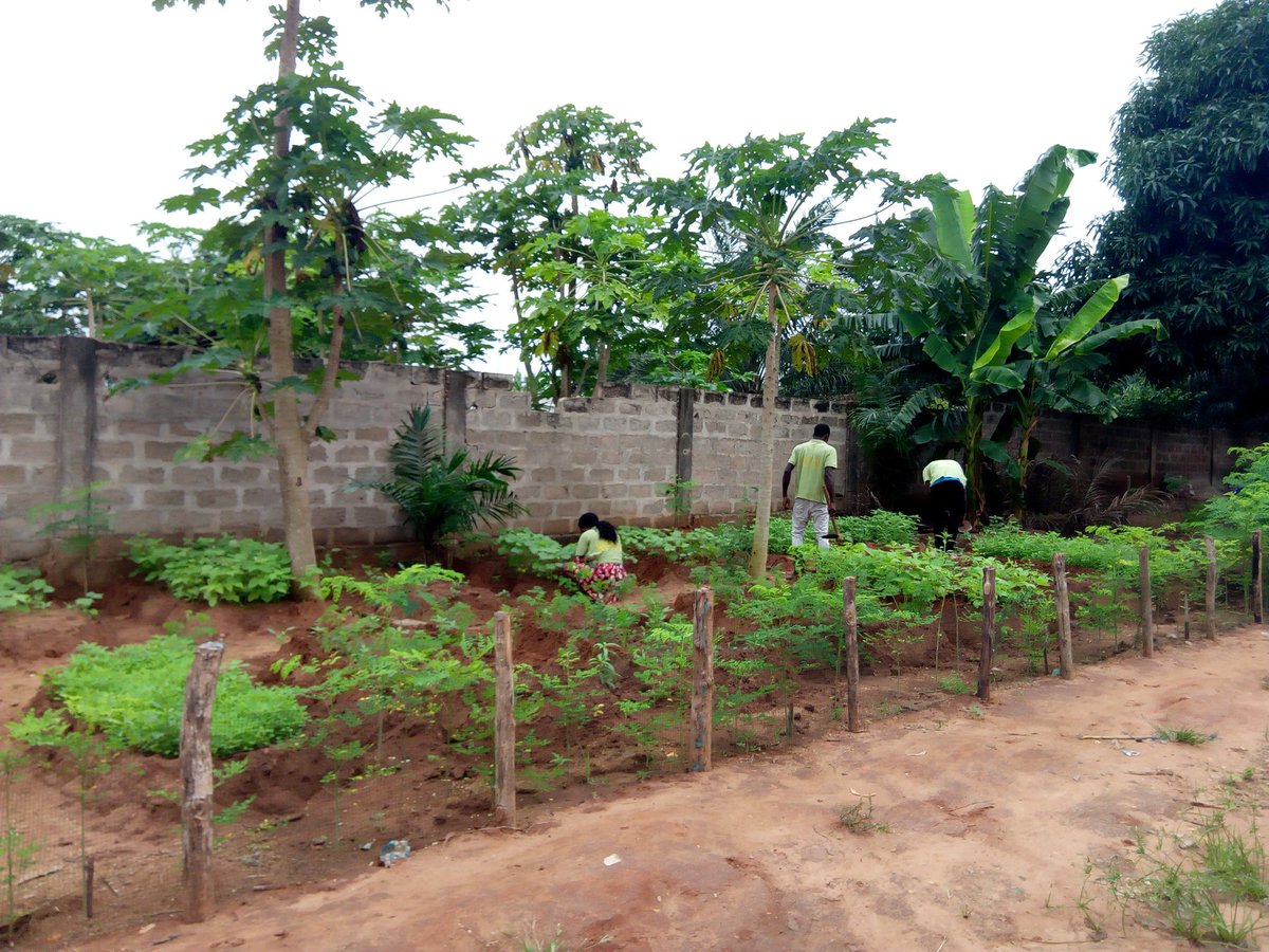Jardin potager au sein du <a href="/woelab/">HubCity WoeLab</a> 
Une grande reussite projet <a href="/urbanattic_/">Urbanattic</a> transforme espace et dépot anarchique d'ordure en potager .
Veritable #revolution for #Africa #agriculture #bio sur des petits  espaces.
#Yes_we_can #team228 #lwili <a href="/Fespocit_Ouaga/">FESPOCIT-Ouagadougou</a>