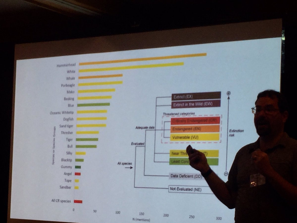 madforsharks's tweet photo. We conducted a media content analysis on articles mentioning sharks. Species that are more threatened were not mentioned much and the actual threats to sharks (i.e., not just shark finning) were rarely mentioned. @WhySharksMatter #AES19 #JMIH19 https://t.co/SpKaCnHbDk