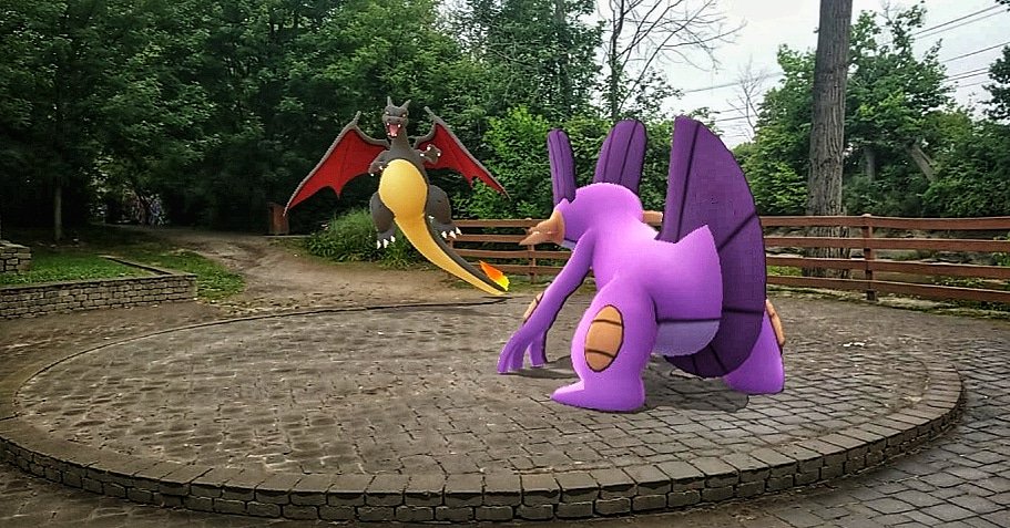 PoGoJoeBFLO's tweet photo. Battled a #ShinyCharizard this morning with My #shinyswampert !!#Pokemon #PokemonGoSnap #PokemonPhotography #pokemonbattles #PokemonGOARPlus #PokemonPhoto #pokemongo #ShinyPokemon https://t.co/MIehg0kg7P