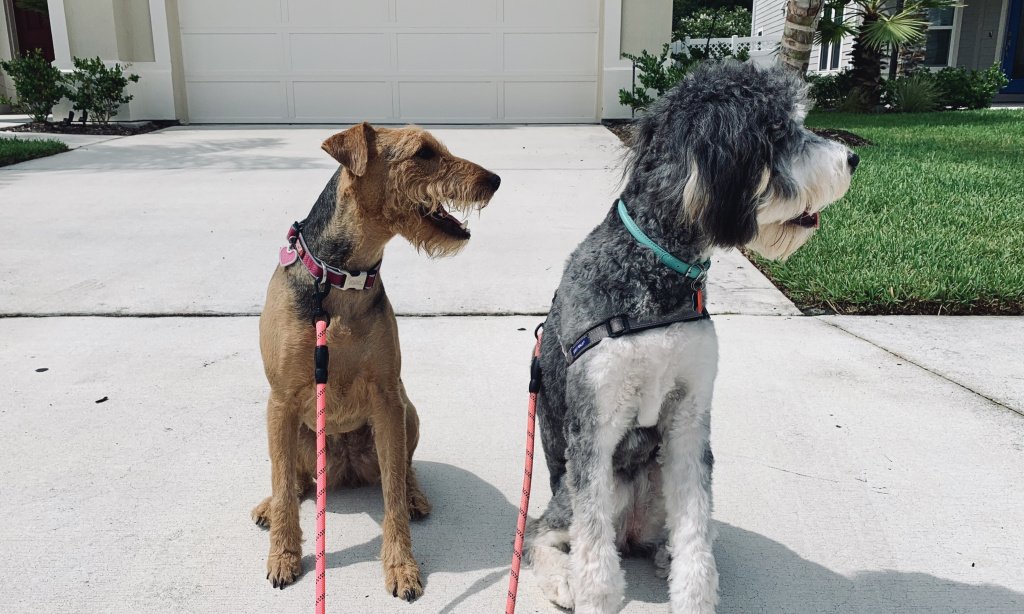 beachdogusa's tweet photo. A relaxing couple weeks… https://t.co/nG9rv7hfDK https://t.co/mh7tENzJle