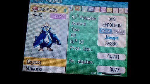 JosLuisAR2's tweet image. No me lo puedo creer, yo con mi hermano estaba jugando tranquilamente Pokemon y de repente me salio esto, fue en un momento cuando me enfrente contra Floatzel cerca de una Central de Fuego, realmente me siento feliz haber logrado esto #PKRS #Suerte #Pokemón_Diamante