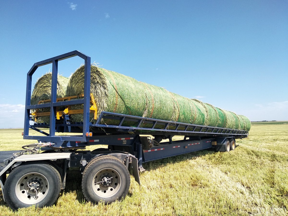 JoshFankhauser1's tweet image. Moved a few 1000 bales with the new homebuilt bale trailer so far no major issues. Capacity of 30 bales, self unloading. 3 months of work last winter. All design and work done inhouse right down the the paint. If you can't buy what you want  then you just have to build it.