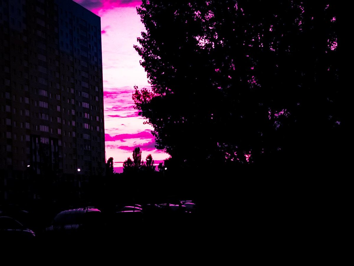 раз два три мы учимся считать tweet media