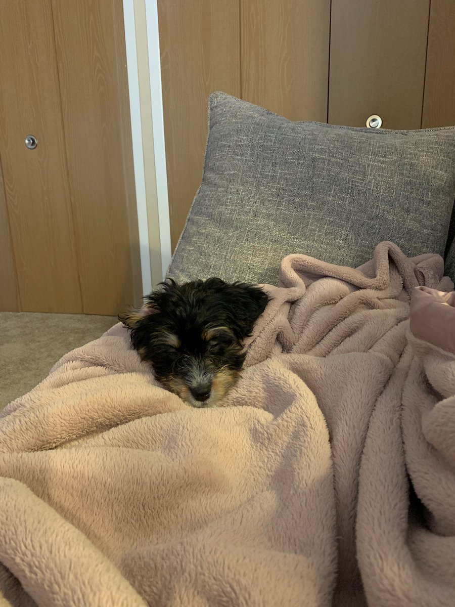 CSchettenhelm's tweet image. This is boyo Tucker