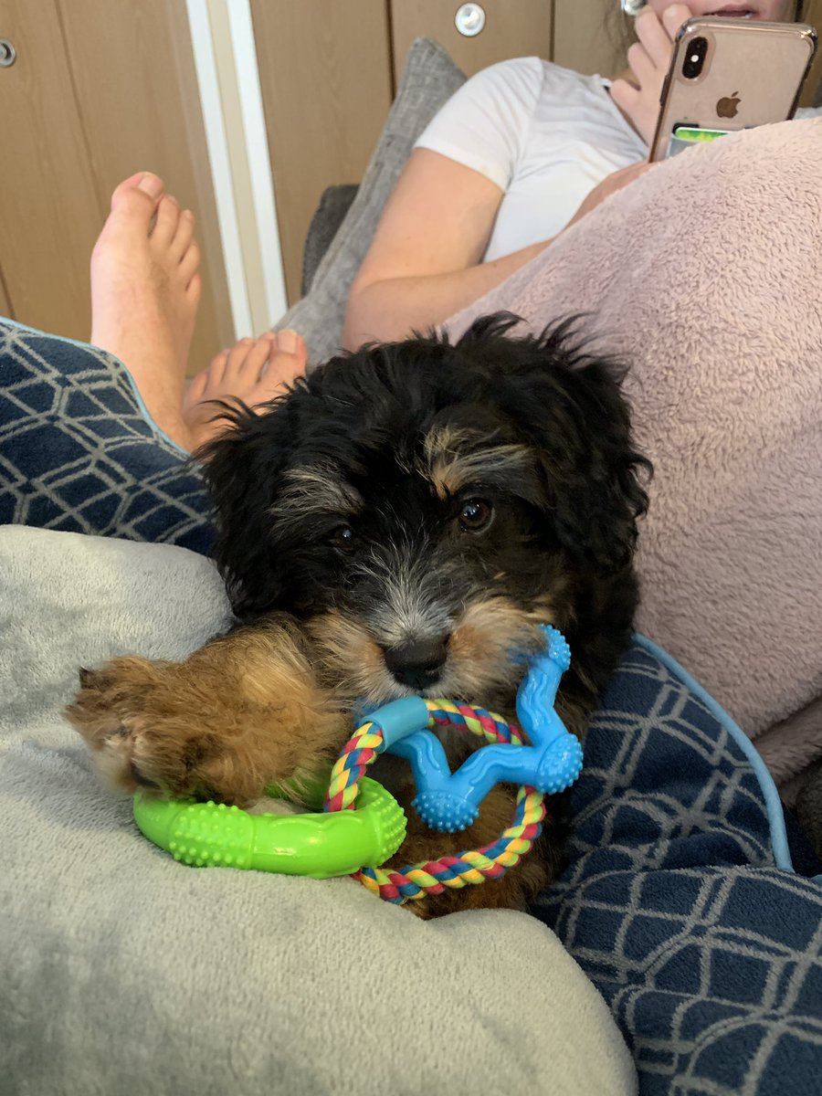 CSchettenhelm's tweet image. This is boyo Tucker