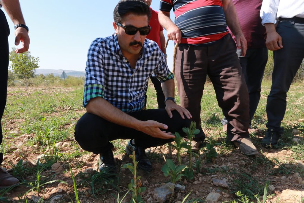 Bekilli İlçemiz Ekizbaba Mahallesinde dolunun vurduğu üzüm bağları, hububat ve tütün tarlalarını yerinde inceledik. 

Allah tüm afetlerden bizleri korusun.