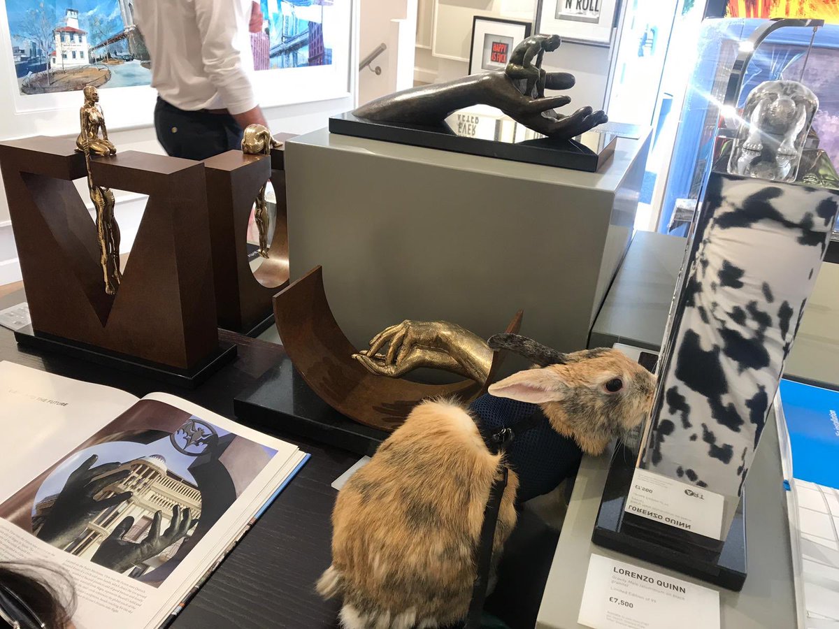 I She’s as much of a fan as I am #castleartgallery #windsor #rabbit #bunny #pet #petsofinstagram #petstagram #bobdylan #bobdylanart #bunnyoftheday and