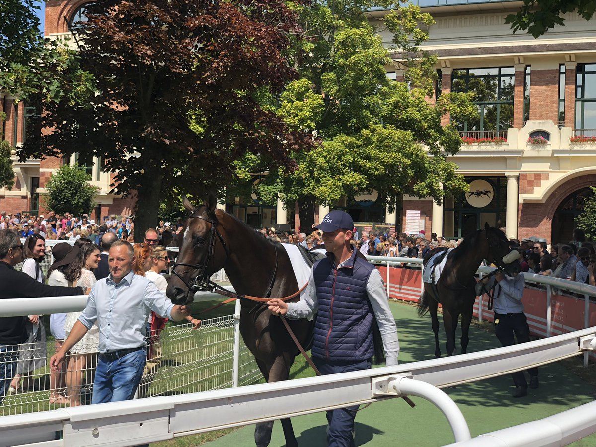 christoblanchet's tweet photo. Avec les élus du territoire #saintarnoult #deauvillle #vauville #pontleveque #reux pour le prix des collectivités lors des courses à Deauville.
Un spectacle toujours agréable à vivre.
@pmu @AudreyGadenne https://t.co/zzn6u3LaYX