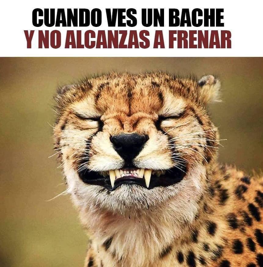 PueblaEsChula's tweet image. Así pasa en #Puebla siempre 😟